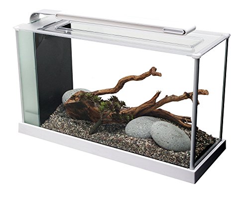 Fluval Spec 5 Nano Aquarium, mit 19L Fassungsvermoegen, in weiss