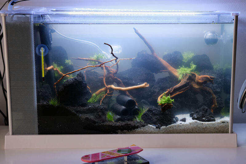 Kies, Sand oder Soil? Nano Aquarium Stuff