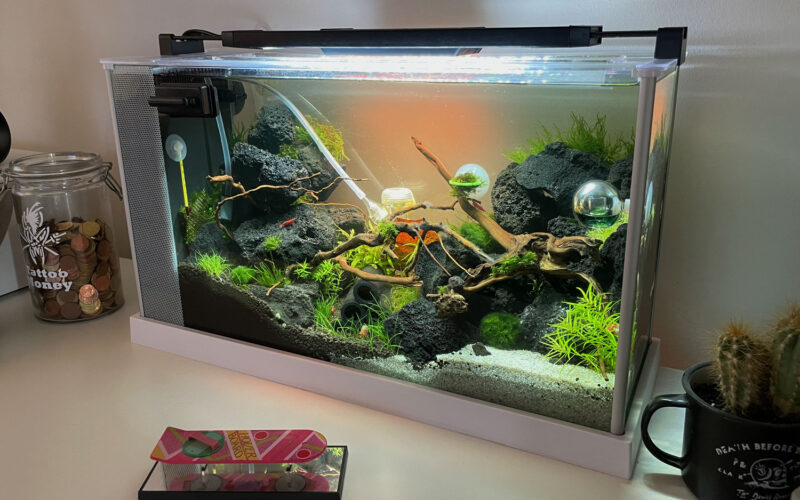 Nanostuff Nanoaquarium Fluval Spec V