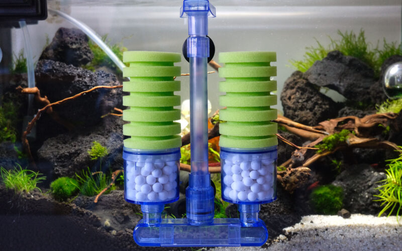Schwammfilter für Nano Aquarium